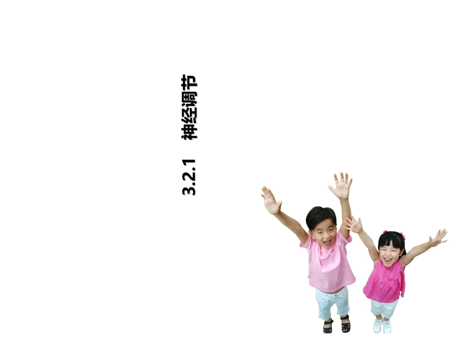 神经调节复习课件_第1页