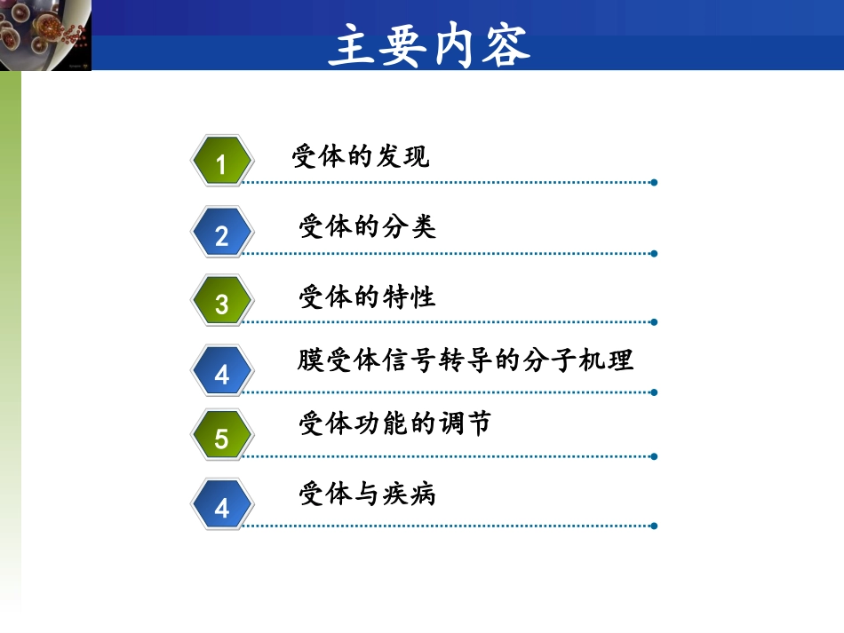 神经生物学受体_第1页