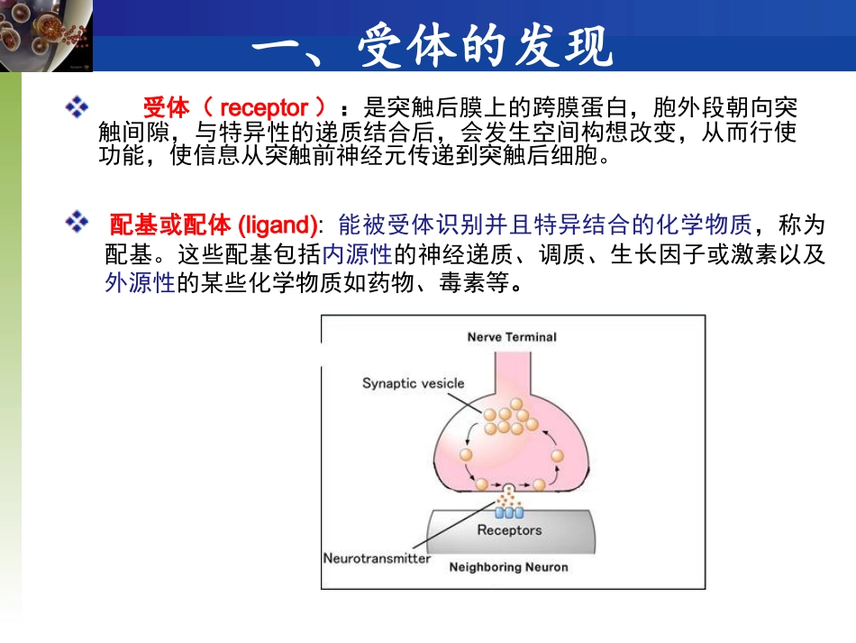 神经生物学受体_第2页
