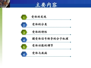 神经生物学受体