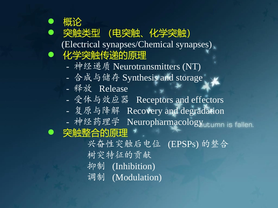 神经生物学突触传递_第2页