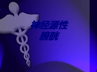 神经源性膀胱优质课件