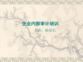 审计监察部培训课件