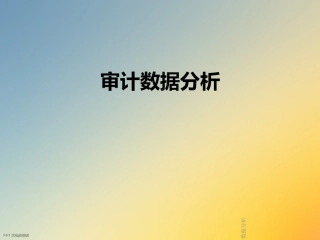 审计数据分析