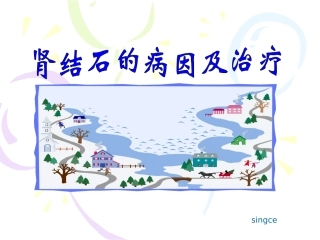 肾结石的课件
