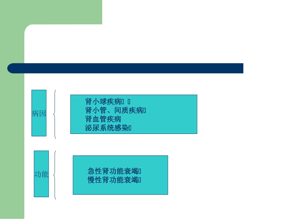 肾内科知识点_第2页