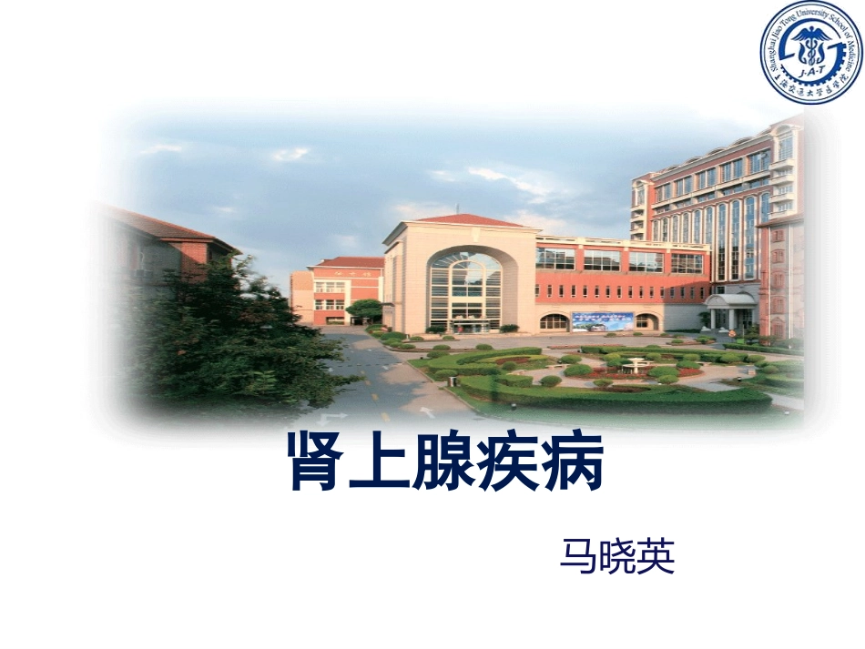 肾上腺疾病教学课件_第1页