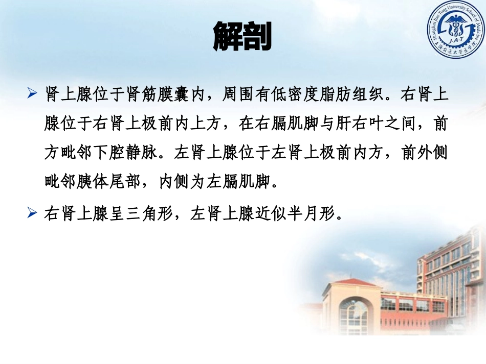 肾上腺疾病教学课件_第2页