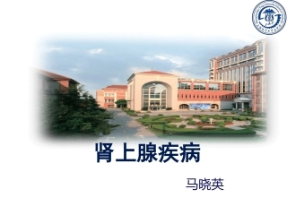 肾上腺疾病教学课件