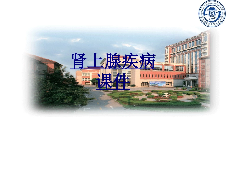 肾上腺疾病优质课件_第1页