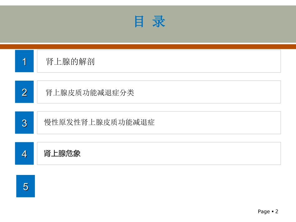 肾上腺皮质功能减退症_第2页