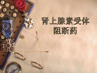 肾上腺素受体阻断药