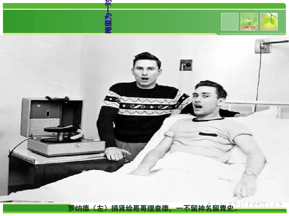 肾移植术后的医疗护理查房优质课件_第2页