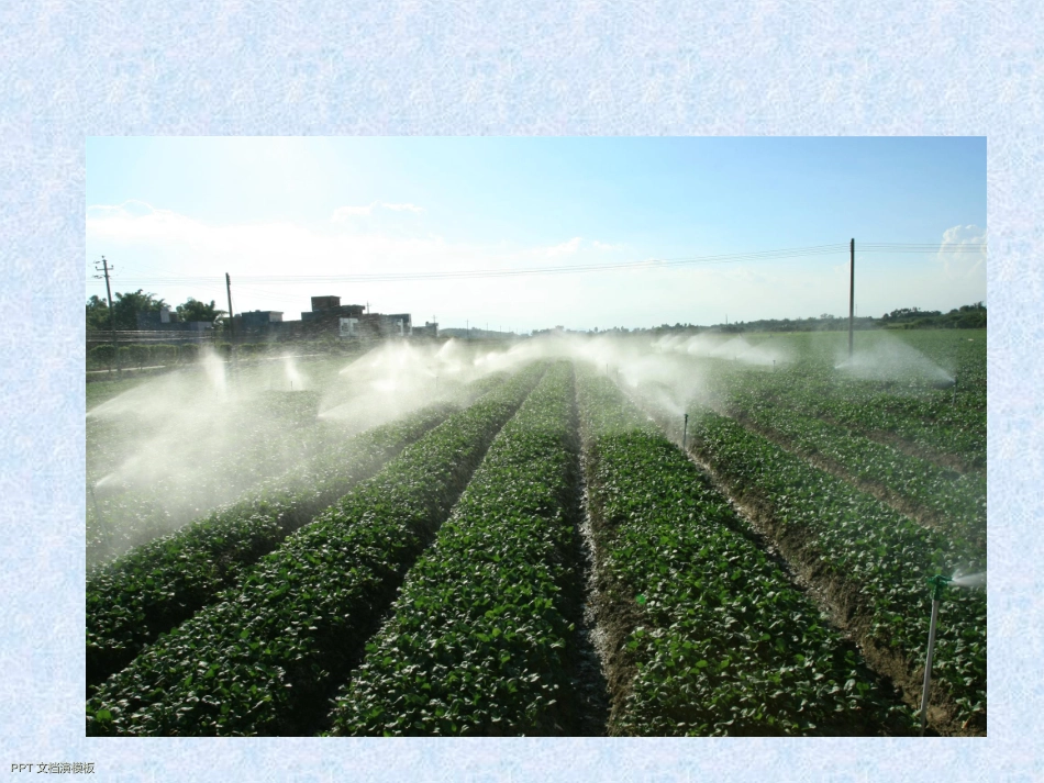 生产者市场分析_第2页