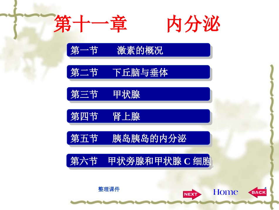 生理学内分泌_第1页