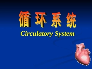 生理学循环系统