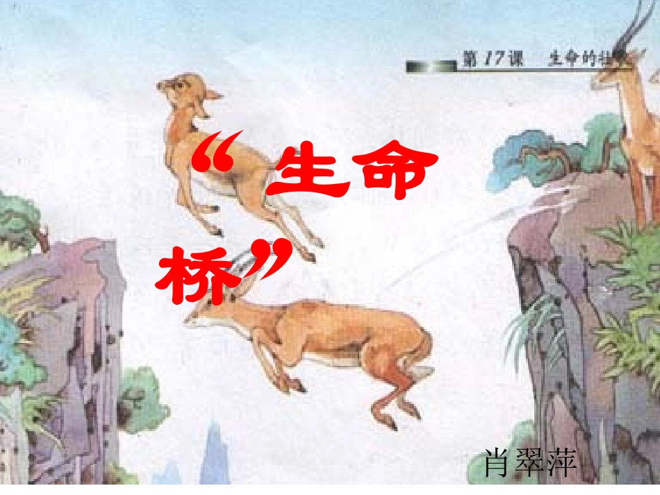 生命的壮歌生命桥_第1页