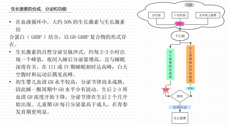 生长激素缺乏症_第3页