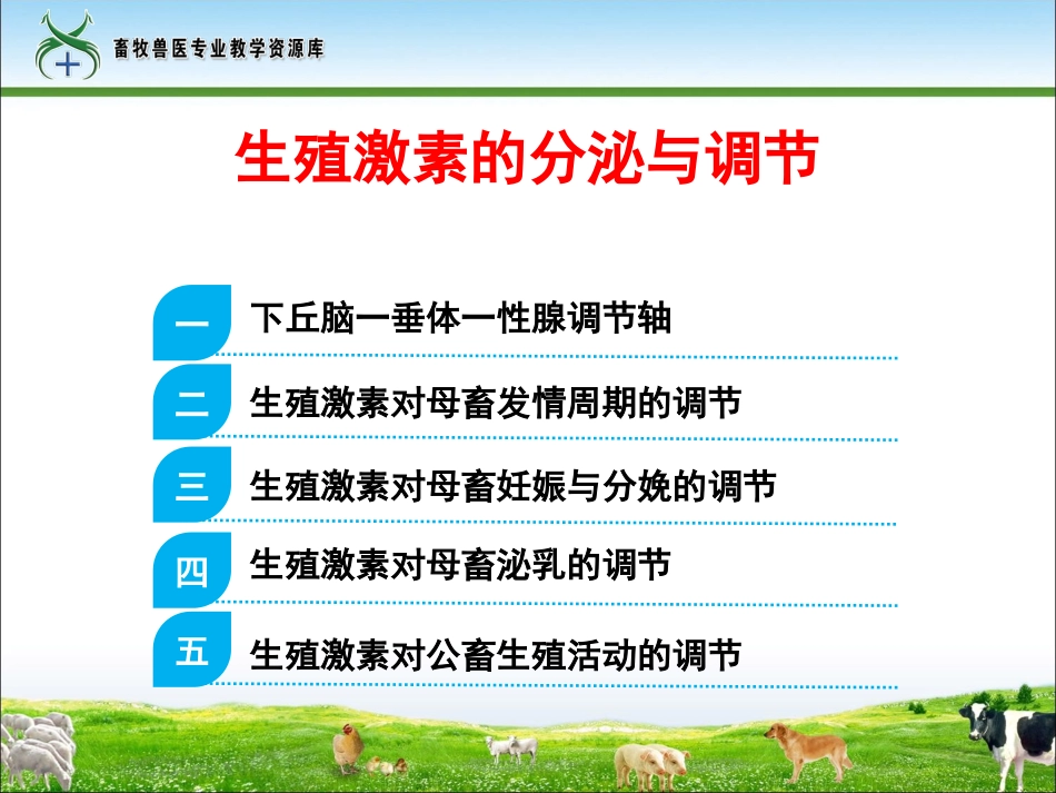 生殖激素的分泌和调节_第2页