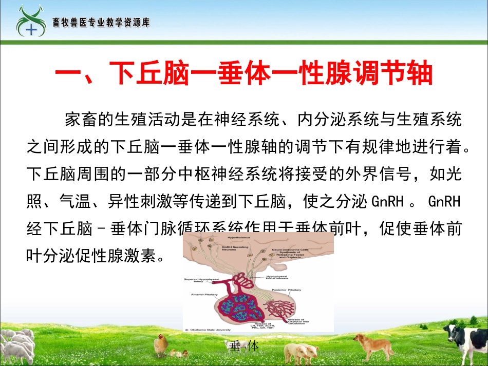 生殖激素的分泌和调节_第3页