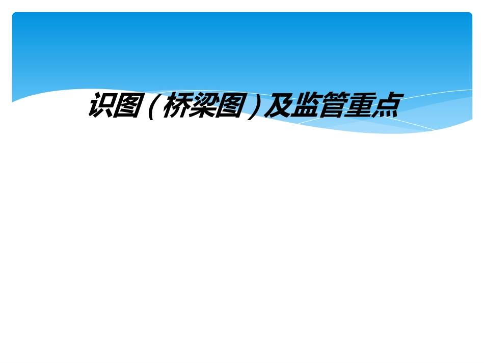 识图桥梁图及监管重点_第1页