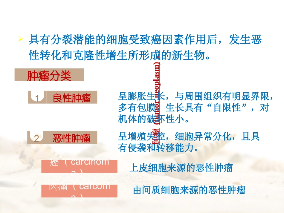 食品中化学物质的致癌作用及评价_第2页