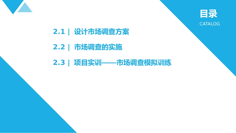 市场调查与分析市场调查方案设计与实施_第2页