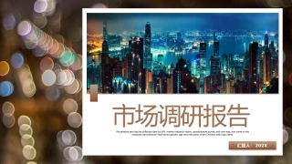市场调研报告数据分析报告完美版