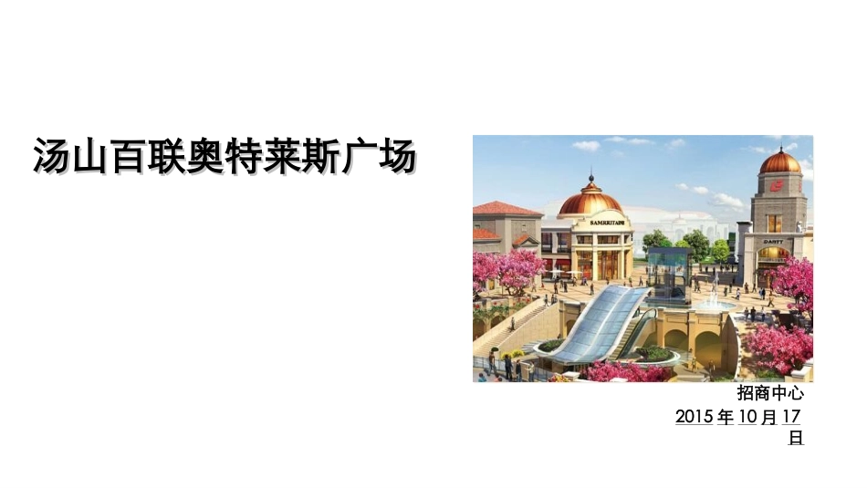 市场调研报告汤山百联奥莱_第1页