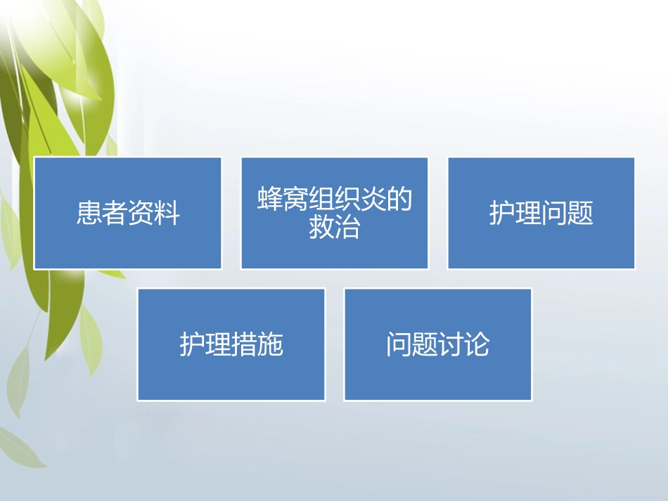 手部疑难病蜂窝织炎护理疑难病例讨论_第2页