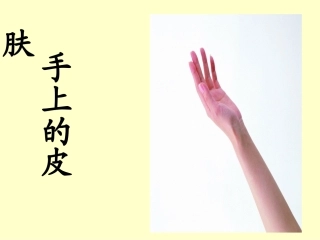 手上的皮肤精品PPT课件