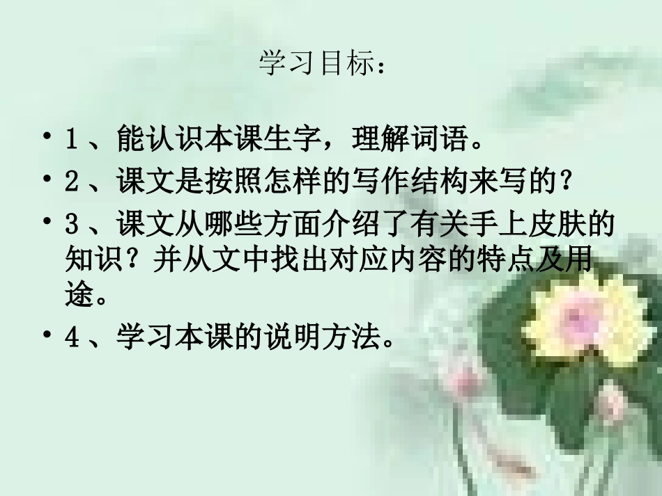 手上的皮肤精品课件_第2页