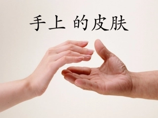 手上的皮肤精品课件