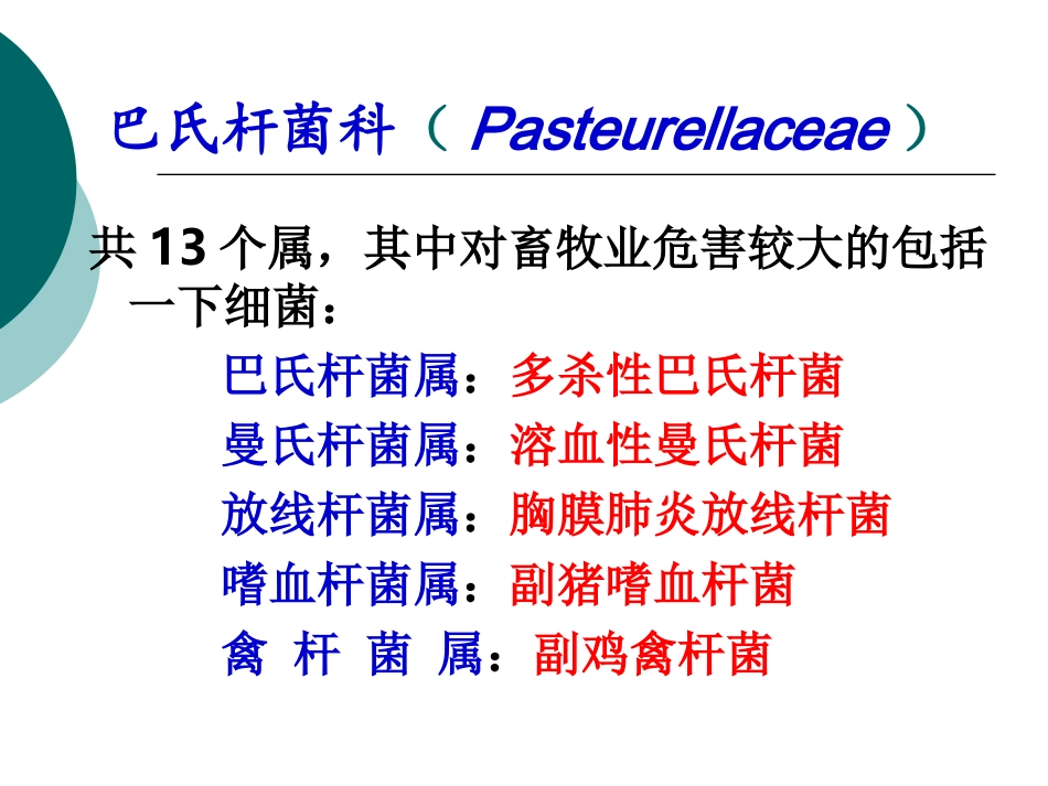 兽医微生物学课件巴氏杆菌科及黄杆菌科_第2页