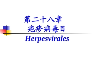 兽医微生物学课件疱疹病毒目