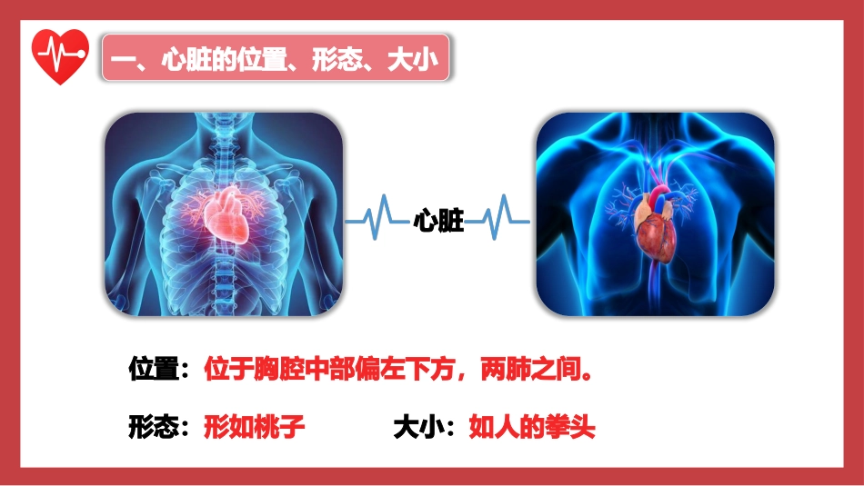 输送血液的泵心脏第1课时七年级生物下册课件人教版_第3页