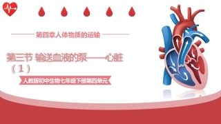 输送血液的泵心脏第1课时七年级生物下册课件人教版