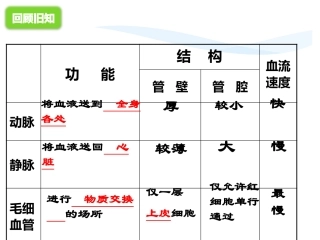 输送血液的泵心脏课件人教版生物七年级下册