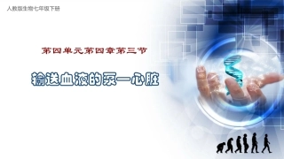 输送血液的泵心脏七年级生物课件人教版七下