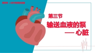 输送血液的泵心脏七年级下册生物课件人教版