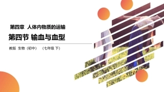 输血与血型精品课件