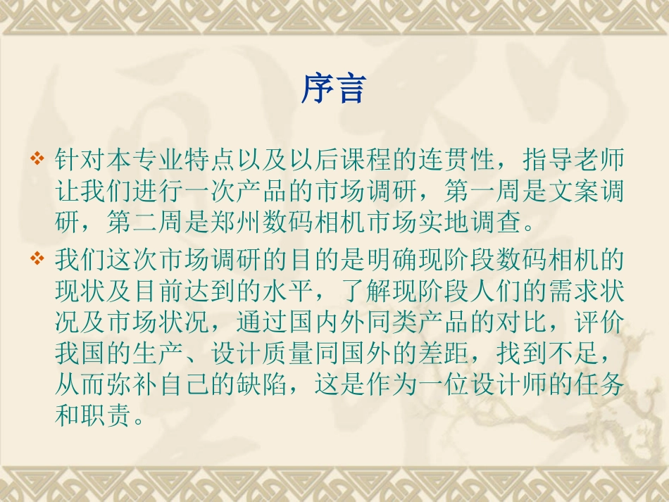 数码相机市场调查报告_第2页