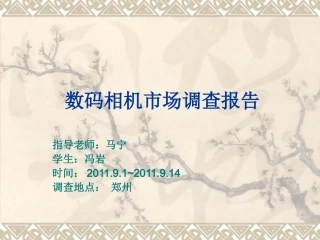 数码相机市场调查报告