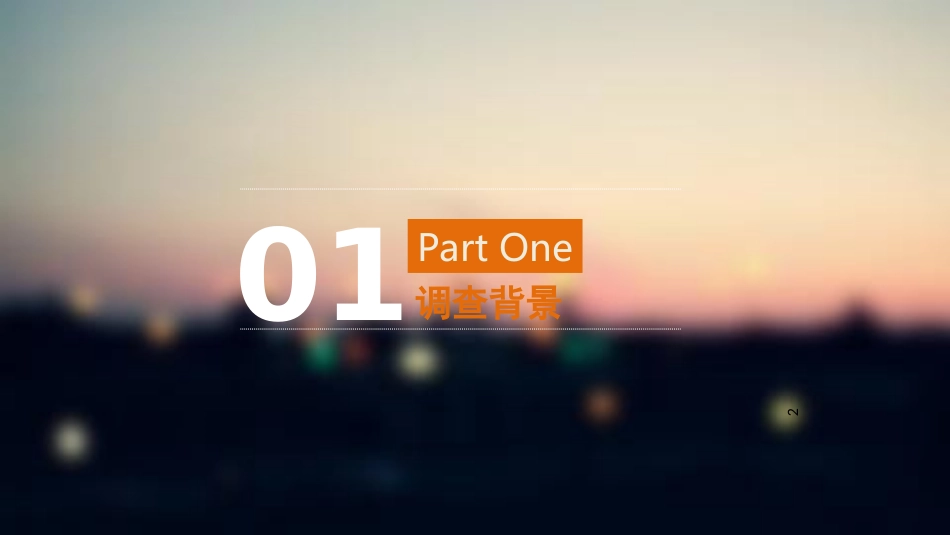 双十一调查报告_第2页