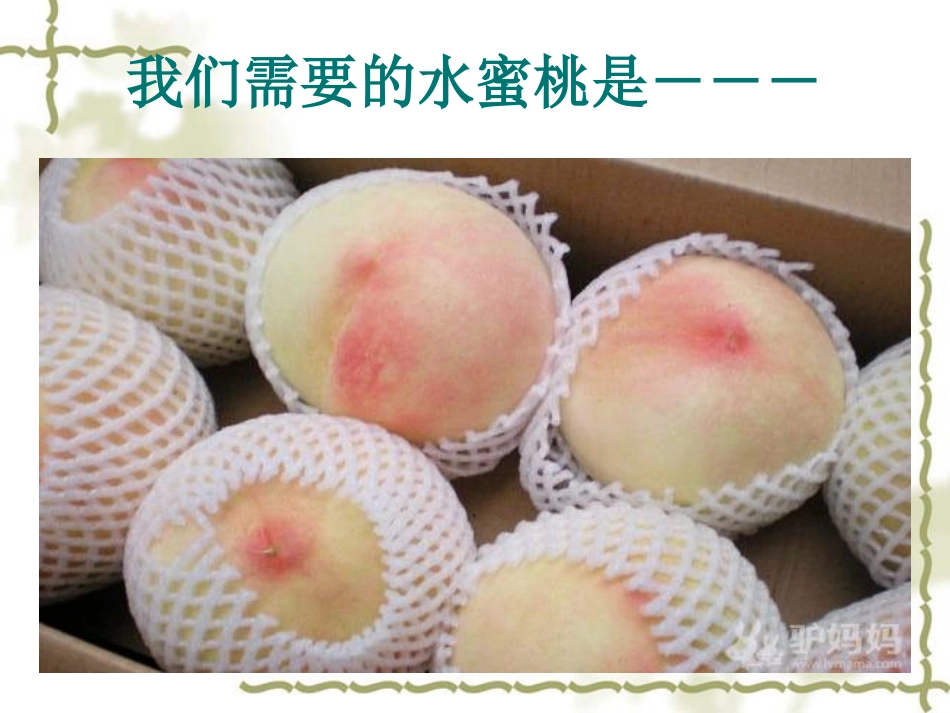 水蜜桃病虫害精品课件_第3页