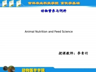 饲料添加剂课件