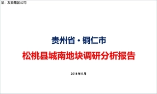 松桃县房地产市场调研