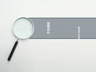 苏泊尔调研报告