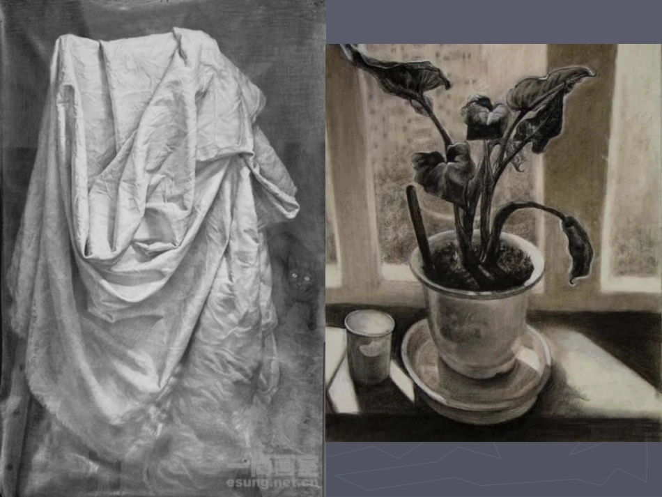 素描静物课件_第3页