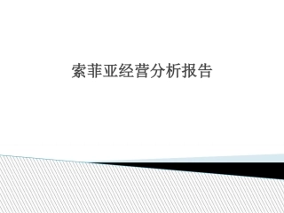 索菲亚经营分析报告